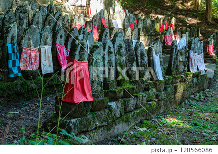 二百地蔵の木漏れ日 120566086