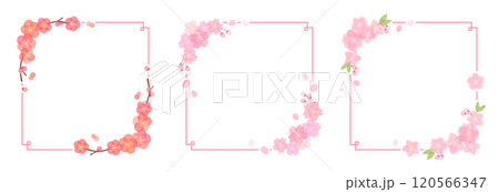 梅・桃・桜の四角フレーム 120566347