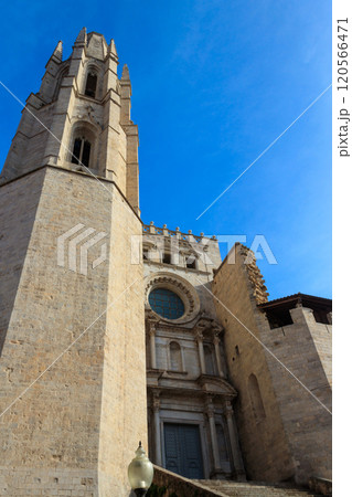The Collegiate Church of St. Felix or Basilica of Sant Feliu in Girona, Spain The Collegiate Church of St. Felix or Basilica of Sant Feliu in Girona, Spain 120566471
