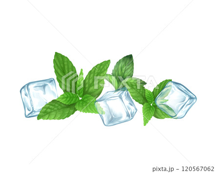 Hand drawn illustration with ice cubes and mint 120567062