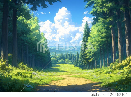 鬱蒼とした森の背景 120567104