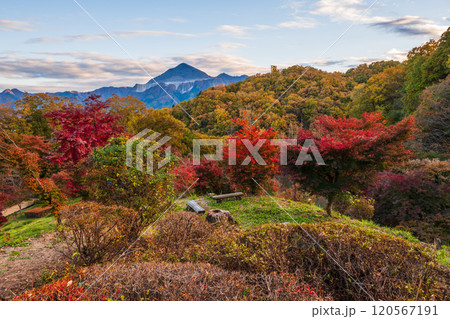 秩父ミューズパークの紅葉【埼玉県】 120567191