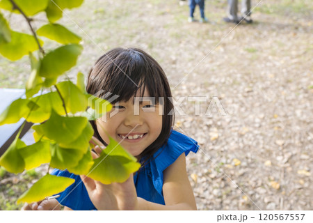 イチョウの葉と笑顔の女の子 120567557