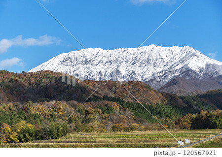 奥大山の秋景色　鍵掛峠付近 120567921