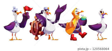Cute sea gull cartoon. Summer beach bird vector 120568064
