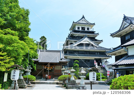 大分県 中津城 大分県 中津城 120568306