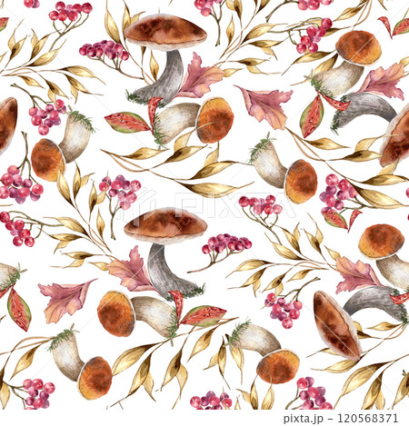 White mushrooms, dried herbs and red berries watercolor seamless pattern isolated. Rowan branch with porcini, leaves hand drawn. Boletus, forest plants on botanical repeated background for textile. 120568371