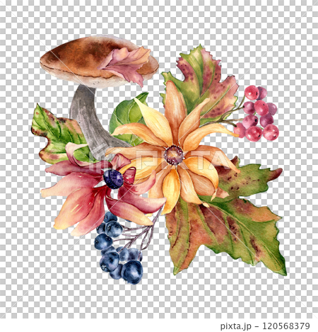 Forest composition with yellow flowers and maple red leaves, berries in watercolor isolated. Autumn illustration with ceps, black chokeberry and wild flora hand drawn. Fall foliage botanical sketch. 120568379