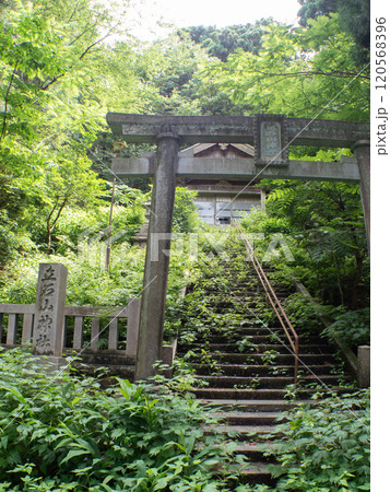 森の中の奇妙な石仏 立石山神社 120568396