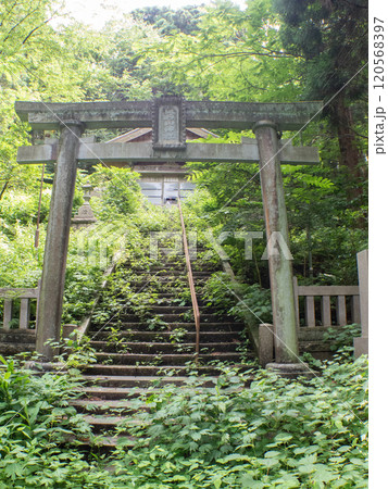 森の中の奇妙な石仏 立石山神社 120568397