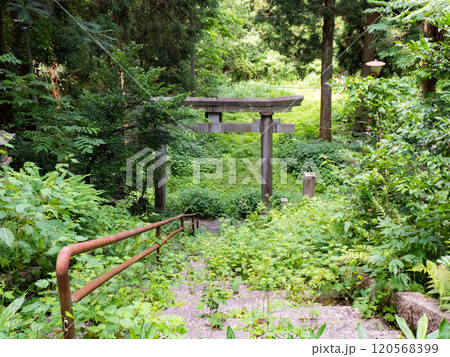 森の中の奇妙な石仏 立石山神社 120568399