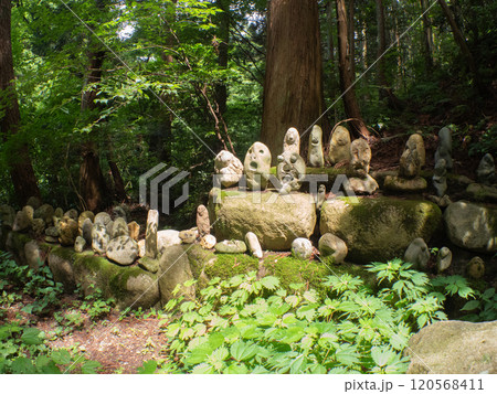 森の中の奇妙な石仏 立石山神社 120568411