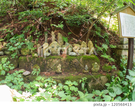 森の中の奇妙な石仏 立石山神社 森の中の奇妙な石仏 立石山神社 120568413