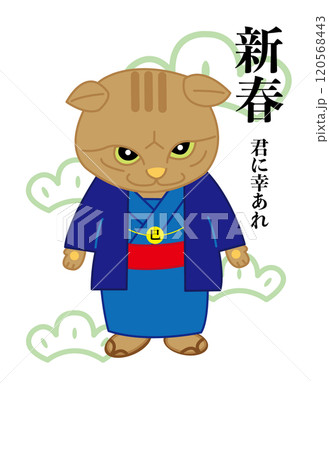 年賀状、茶トラ猫のご挨拶 120568443