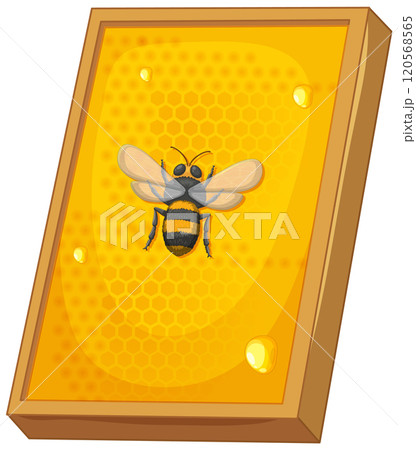 Honeybee on Honeycomb Illustration 120568565