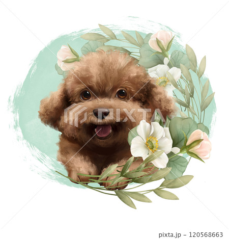 Cute poodle dog illustration. Hand drawn puppy and flowers 120568663