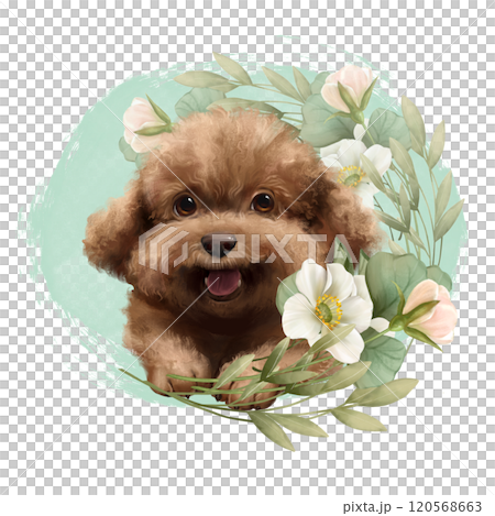 Cute poodle dog illustration. Hand drawn puppy and flowers 120568663