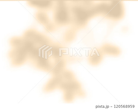 Beige shadow on white wall vector background mockup, blurred soft shadow from window and tree leaves of plants outside 120568959