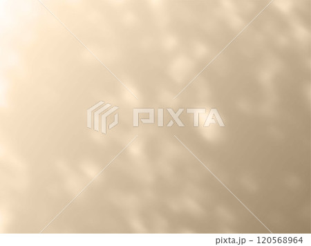Shadow effect on beige wall, sunbeams reflection, blurred soft shadow from window and leaves, vector background mockup 120568964