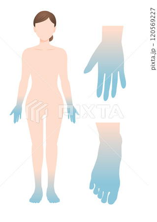末端冷え症の女性 リアル体型 手と足のパーツ イラスト 末端冷え症の女性 リアル体型 手と足のパーツ イラスト 120569227