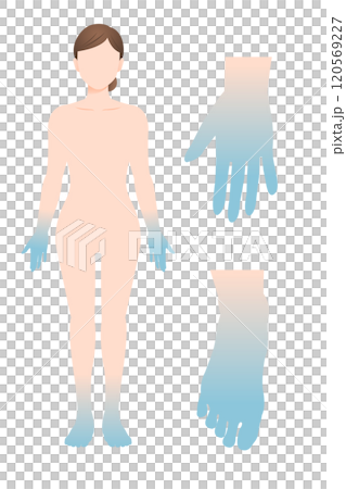 末端冷え症の女性 リアル体型 手と足のパーツ イラスト 末端冷え症の女性 リアル体型 手と足のパーツ イラスト 120569227