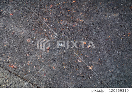 熟した柿が地面を汚す 120569319