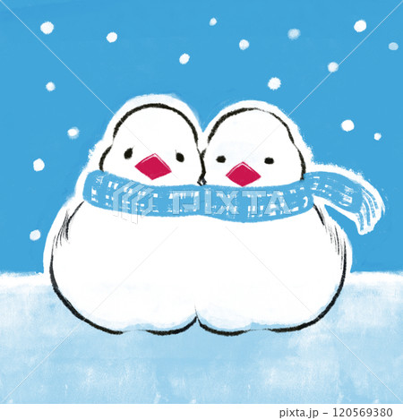 雪が降る中で温め合うマフラーを巻いた文鳥 120569380