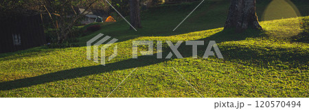 landscape and travel concept with sunlight on grass and shadow of tree landscape and travel concept with sunlight on grass and shadow of tree 120570494