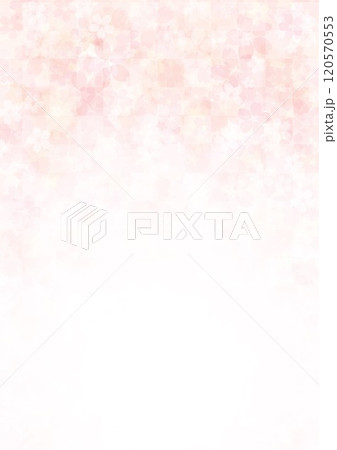 和紙に格子柄に桜 120570553