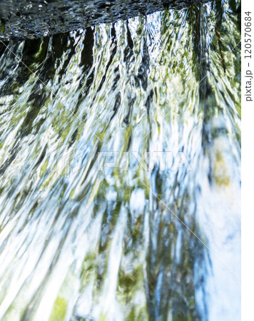 新緑の中を流れる清流　(木谷沢渓流） 120570684