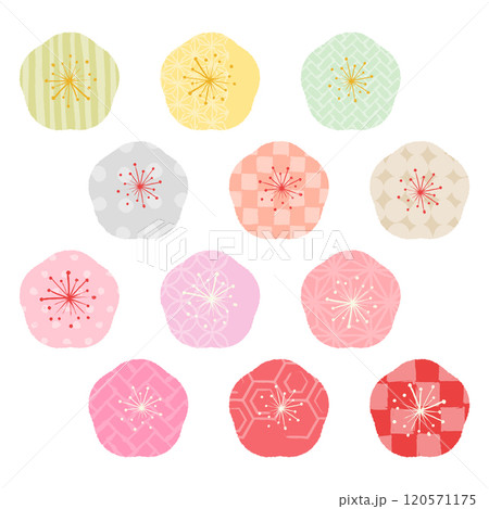 カラフル和柄いろいろ梅の花ベクターイラストセット カラフル和柄いろいろ梅の花ベクターイラストセット 120571175