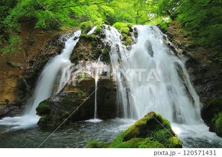 新緑の名水の滝(男池・由布市庄内町) 新緑の名水の滝(男池・由布市庄内町) 120571431