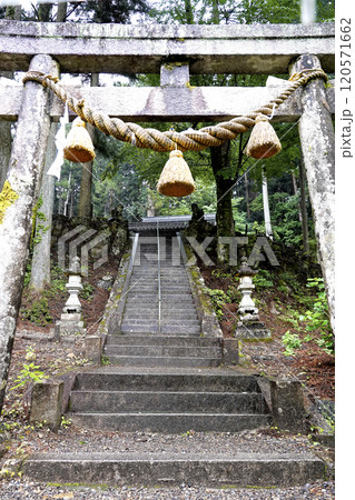 森林に囲まれた名もなき池(通称モネの池)がある根道神社の鳥居と石段 森林に囲まれた名もなき池(通称モネの池)がある根道神社の鳥居と石段 120571662
