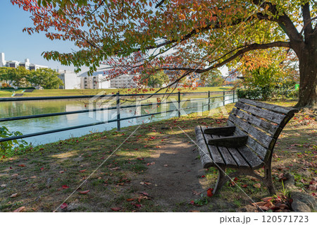 紅葉の散歩道 120571723