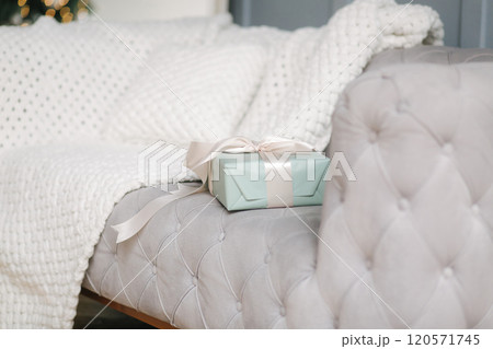 Little present stand on sofa at home. Christmas mood. Winter holiday Little present stand on sofa at home. Christmas mood. Winter holiday 120571745
