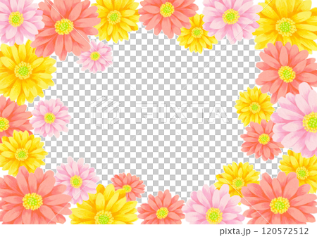 卡片用非洲菊花卉插圖 120572512