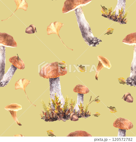 Fall mushrooms seamless pattern Watercolor boletus orange cap with Chanterelle, moos, yellow green leaves and brown acorn. Forest wild harvest. Hand drawn illustration on isolated coloured background Fall mushrooms seamless pattern Watercolor boletus orange cap with Chanterelle, moos, yellow green leaves and brown acorn. Forest wild harvest. Hand drawn illustration on isolated coloured background 120572782