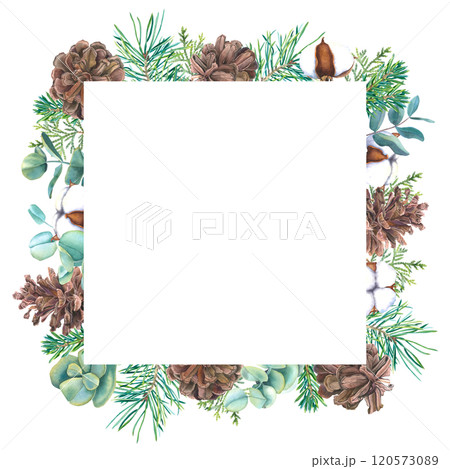Frame with watercolor Christmas tree branches, pine cones, eucalyptus and bolls of cotton. Hand drawn illustration of template for New Year invitations. Border with spruce twigs on isolated background 120573089