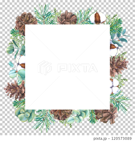 Frame with watercolor Christmas tree branches, pine cones, eucalyptus and bolls of cotton. Hand drawn illustration of template for New Year invitations. Border with spruce twigs on isolated background 120573089