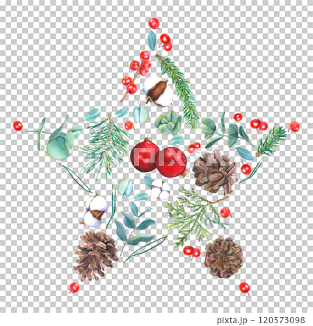 Christmas card in the shape of a star with glass red ball, holly, cones, thuja, fir, pine branches, eucalyptus, bolls of cotton. Hand drawn watercolor illustration on isolated background. For Xmas. 120573098