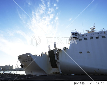 サンフラワーさつま　大阪港 120573143