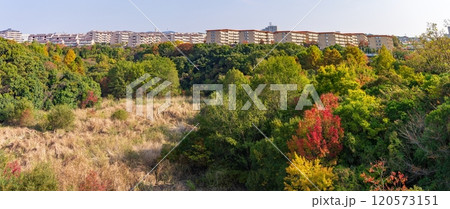 西神山手線名谷駅前の秋の風景　神戸市須磨区にて 120573151