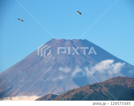 静岡県沼津市・津波避難施設築山から望む富士山 静岡県沼津市・津波避難施設築山から望む富士山 120573385