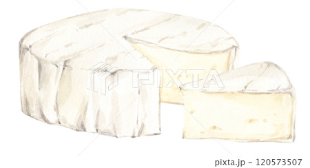 Watercolor food clip art. White brie or camembert Italian, French soft cheese. Exquisite snack for wine. Cut piece and whole head of cheese. Watercolor food clip art. White brie or camembert Italian, French soft cheese. Exquisite snack for wine. Cut piece and whole head of cheese. 120573507