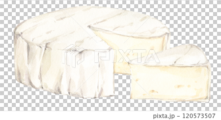 Watercolor food clip art. White brie or camembert Italian, French soft cheese. Exquisite snack for wine. Cut piece and whole head of cheese. Watercolor food clip art. White brie or camembert Italian, French soft cheese. Exquisite snack for wine. Cut piece and whole head of cheese. 120573507