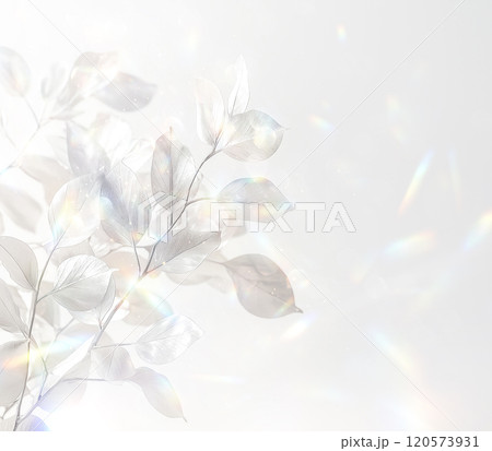 エレガントな白い葉のクローズアップ 120573931