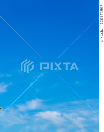 深まる秋の澄んだ青空39 120573967