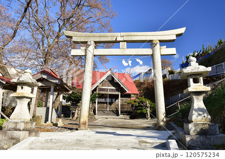晩秋の北海道八雲町熊石で根崎神社の風景を撮影 120575234