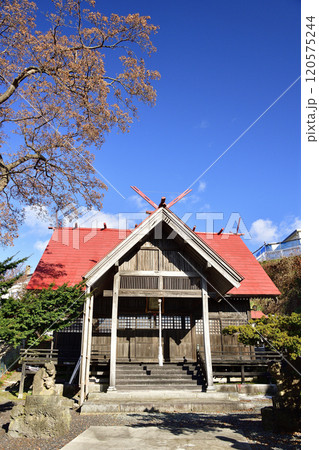 晩秋の北海道八雲町熊石で根崎神社の風景を撮影 120575244
