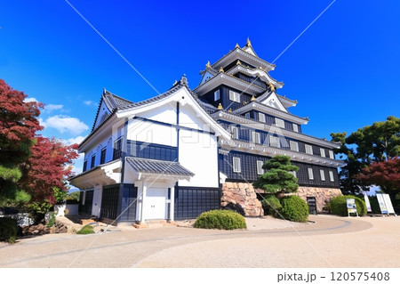 【岡山県】紅葉した岡山城の天守閣（令和の大改修後） 120575408